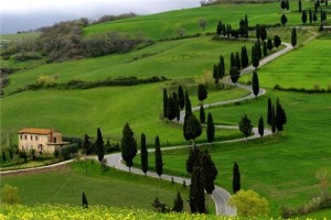 Ooty-today-family-hotels