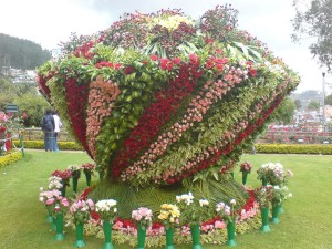 Ooty-hotel-near-lake