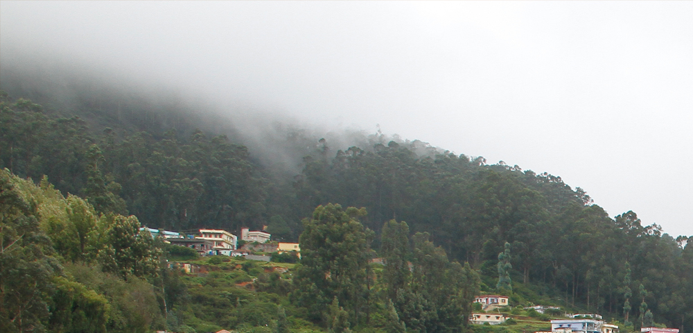 Budget Hotels In Ooty With Tariff Good Best Resorts Near Bus Stand